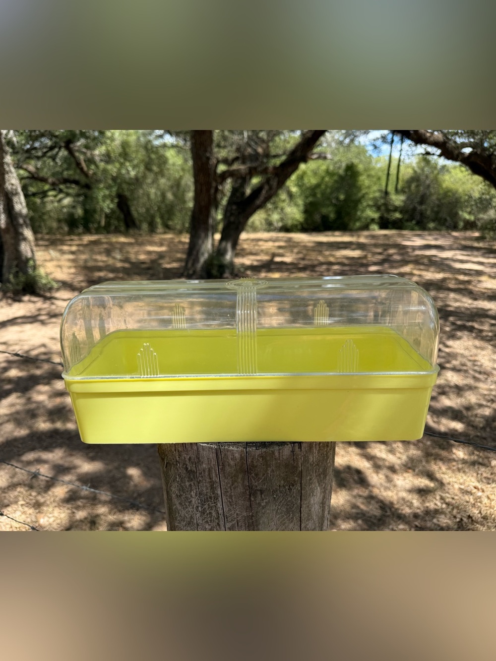 Vintage Yellow Bread Box